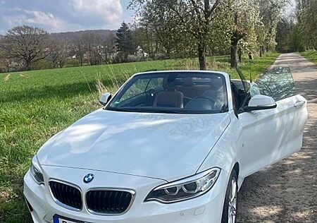 BMW 218i Cabrio M Sport/HU Neu/Navi