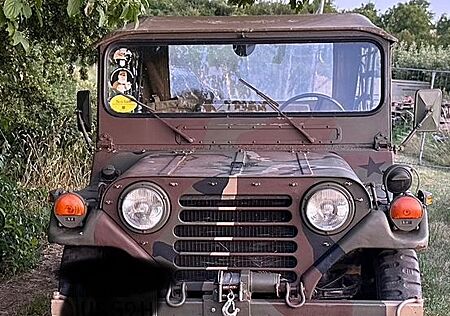 Ford Andere