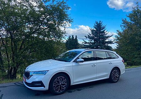 Skoda Octavia Combi Ambition 2.0 TDI 110 kW 4x4
