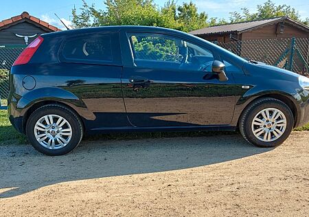 Fiat Punto gebraucht kaufen Fiat Punto 1.2 Dynamic Dynamic