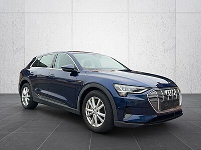 Audi 96%SOH*inkl.MwsT*ACC*LED*AHK*TopAustattung