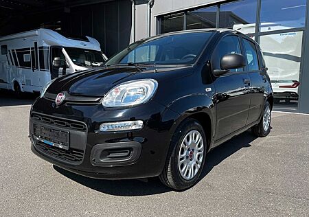 Fiat Panda (319) Base (2020->)