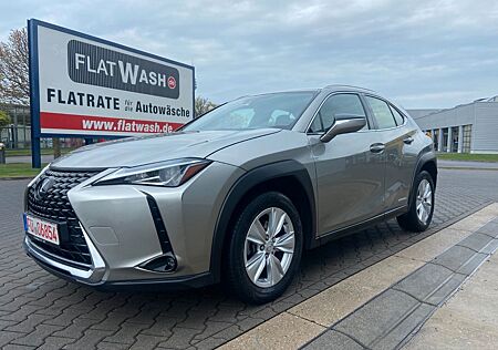 Lexus UX 250h Aut/Navi/Alcantara/LED/Kamera/Mod.2022