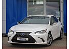 Lexus GS 300 ES 300h Luxury Line ACC Navi Kamera 360° Schie