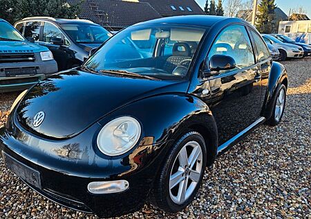 VW New Beetle Volkswagen