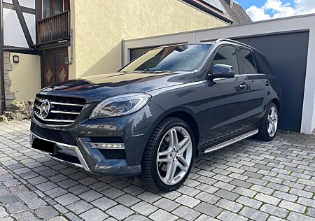 Mercedes-Benz ML 350 CDI *Voll*AMG*Pano*21-Zoll*StdHzg*AHK*