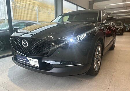 Mazda CX-30 Selection 122 PS *Leder*Design*Activesense