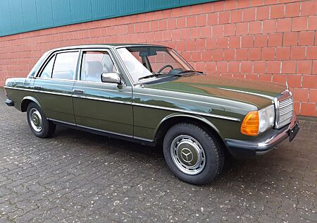 Mercedes-Benz 200 Diesel W123 - traumhaft gesunder Zustand