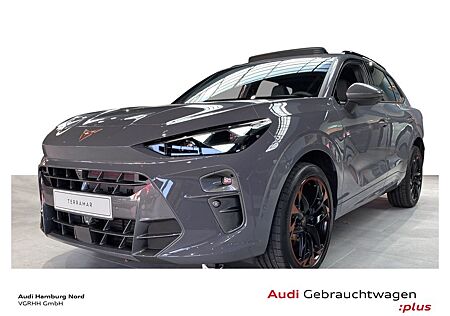 Cupra Terramar 2.0 TSI VZ 4Drive DSG Navi Kameras