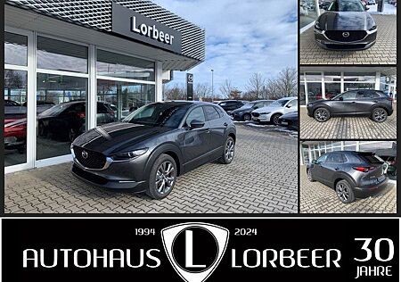 Mazda CX-30 M-HYBRID 6AG 150PS SELECTION DES-P NAVI