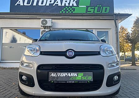 Fiat Panda gebraucht kaufen Fiat Panda My . Klima Alu Top!!!