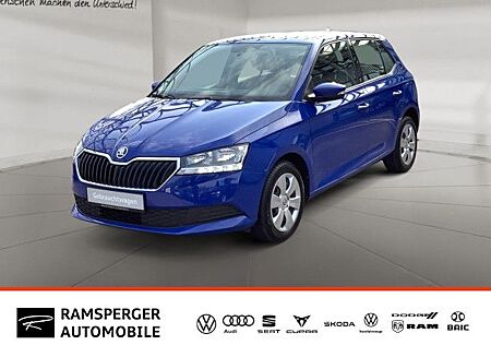 Skoda Fabia 1.0 TSI Cool Plus Klima Freisprech PDC