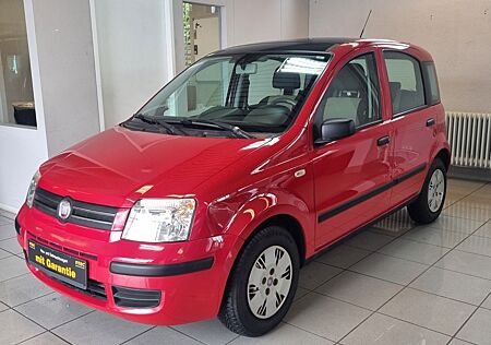 Fiat Panda 1.2 8V Dynamic*TÜV*KLIMA*NAVI*PANO*