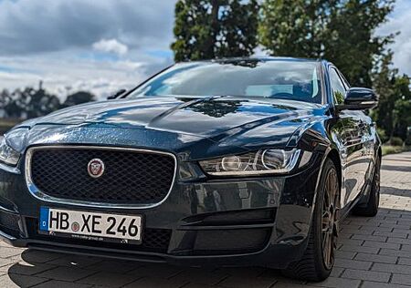 Jaguar XE E-Performance 163PS Portfolio Automatik P...