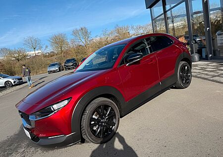 Mazda CX-3 CX-30 Skyactive Homura 18" Navi SHZ Kamera LED