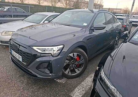 Audi Q8 e-tron Q8 Sportback e-tron 55 S-line Navi Matrix 360