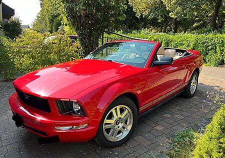 Ford Mustang V6