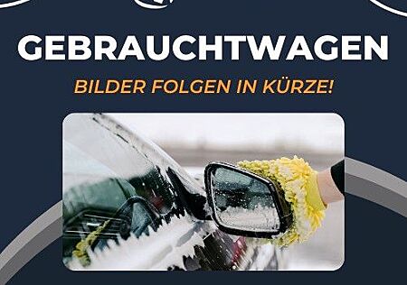 VW Caddy Volkswagen Cargo EcoProfi 2.0 TDI LKW