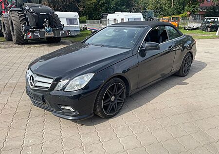 Mercedes-Benz E 220 E -Klasse Cabrio CDI BlueEfficiency