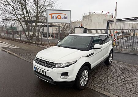Land Rover Range Rover Evoque *AUTOMATIK*NAVI*LEDER*PANORAMA