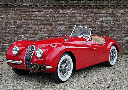 Jaguar XK XK120 OTS Roadster Restored Roadster from fin