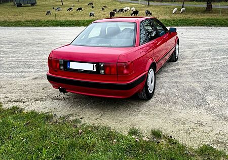 Audi 80 - TÜV 11/26 - V6 - 2.8L - 174ps - TOP Zustand