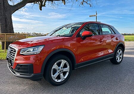 Audi Q2 1.4 TFSI COD S tronic mit Schiebedach