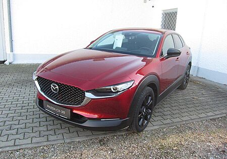 Mazda CX-30 SKYACTIV-X 2.0 M HYBRID Homura / Rückfahrk