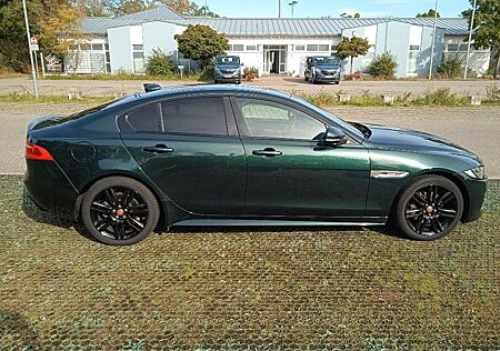 Jaguar XE R-Sport 2.0 Top Zustand
