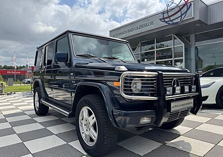 Mercedes-Benz G 400 CDI -Standh. -Bullfänger -Navi