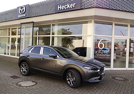 Mazda CX-30 gebraucht kaufen Mazda CX-30 e-SKYACTIV-G X 186ps 6AT FWD Takumi BLOP