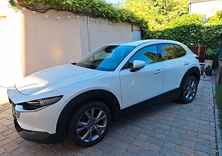 Mazda CX-30 2.0 SKYACTIV-G M-Hybrid AWD - Leder / AHK