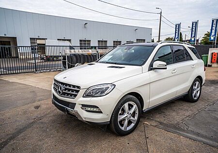 Mercedes-Benz ML 250 CDI