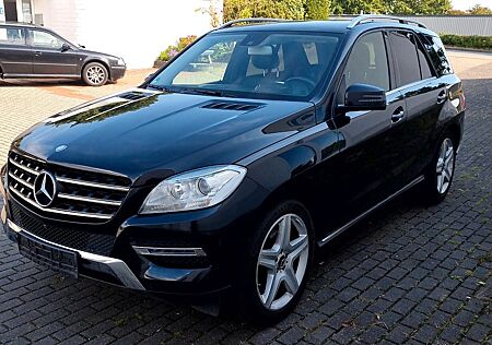 Mercedes-Benz ML 250 gebraucht kaufen Mercedes-Benz ML 250 BlueTEC 4MATIC -