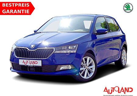 Skoda Fabia 1.0 TSI Clever LED Sitzheizung ACC PDC DAB