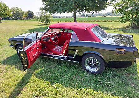 Ford Mustang T5 Frame of Restauration