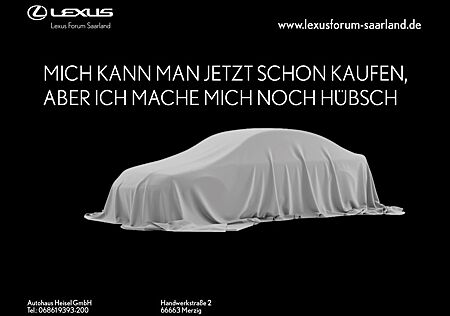 Lexus RX 300 RX 500 h DIRECT4 F SPORT+,Interieurpaket