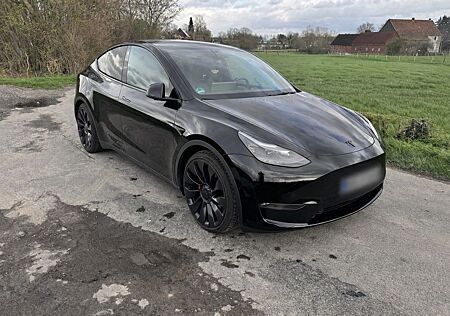 Tesla Model Y Performance Dual Motor AWD Performance
