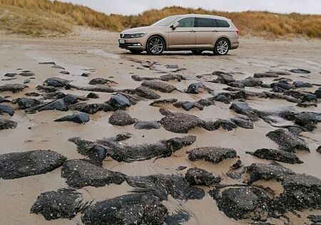 VW Passat Variant Volkswagen 2.0 TDI DSG BlueMot. High...