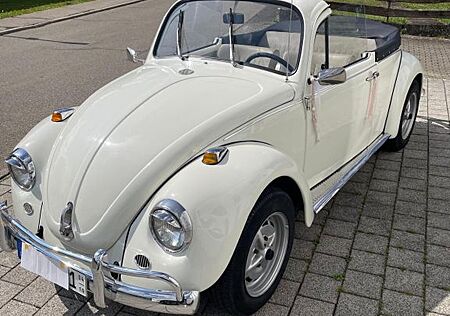 VW Käfer Volkswagen