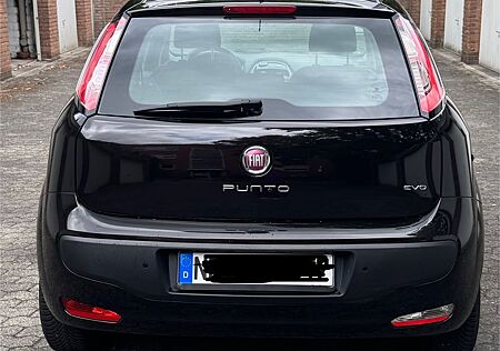Fiat Punto EVO