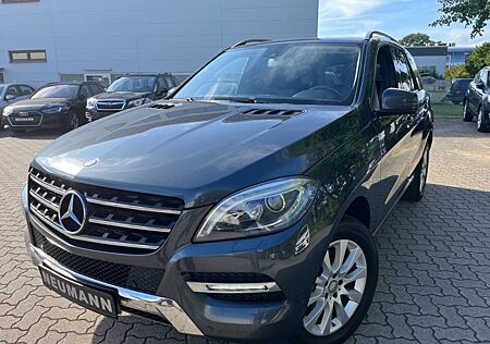 Mercedes-Benz ML 250 CDI BlueTec