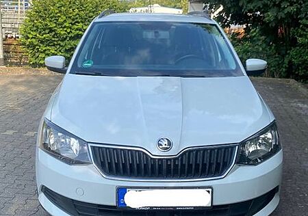 Skoda Fabia TÜV + Inspektion NEU