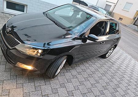 Skoda Fabia 1,2 TSI Ambition 4 Zylinder Tempomat