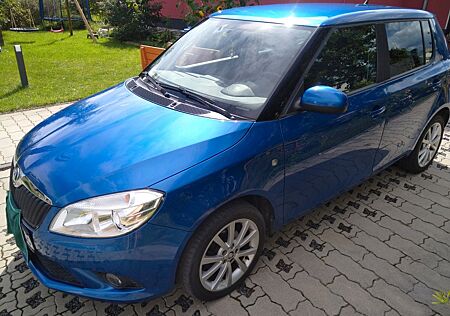 Skoda Fabia 1.6l TDI 8-fach TÜV neu
