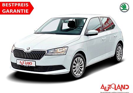 Skoda Fabia 1.0 TSI Cool Edition Klima DAB Sitzheizung