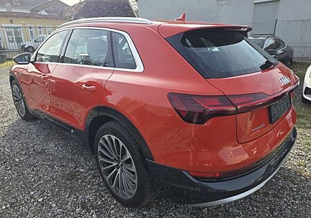 Audi e-tron 55 quattro Dig-Matrix S-Line Mod 21 TO...