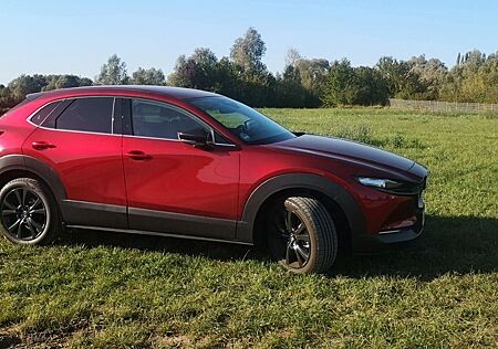 Mazda CX-30 5WGN 2.0L e-SKYAKTIV X 186ps 6 AT FW