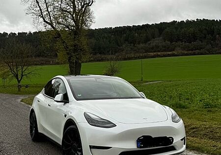 Tesla Model Y Performance Dual Motor AWD Performance