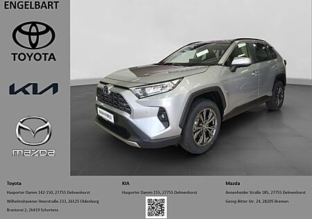 Toyota RAV 4 2.5 Hybrid 4x2 Team D Technik Paket